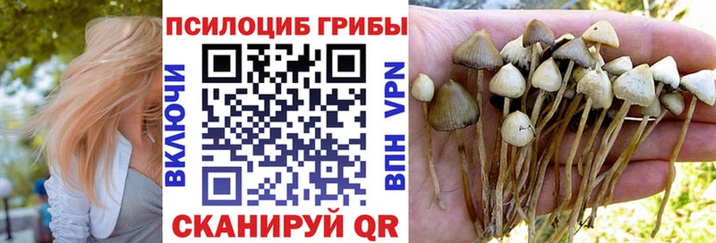 Купить закладки Мамадыш Псилоцибиновые грибы Psilocybine cubensis